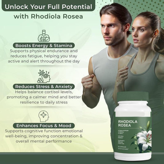 Customization Dietary Supplement Capsules Rhodola Rosea Adaptogen Stress Support